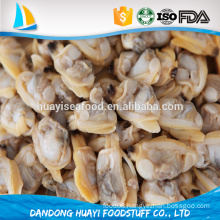new season coming meat of baby clam/short necked clam